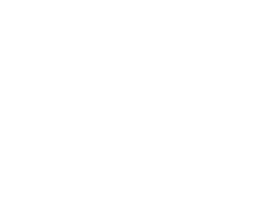 Hospitality Technology Consulting Hilton